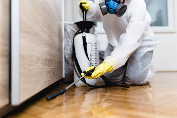 Best Commercial Pest Control Services  in Clifton, TN