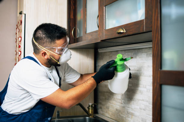 Best Wildlife Control Services  in Clifton, TN