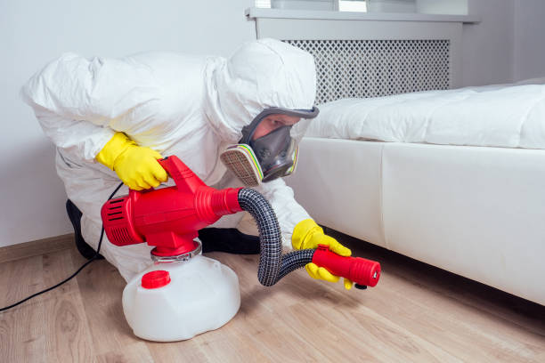 Wasp Removal Services in Clifton, TN