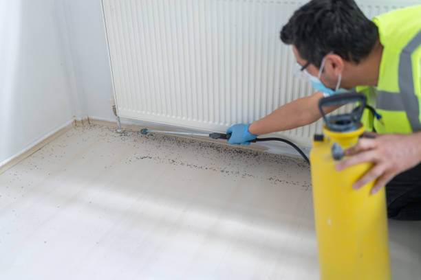 Best Rat Extermination Near Me  in Clifton, TN