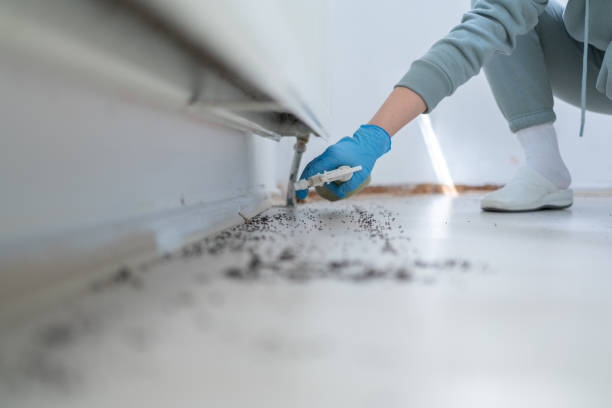 Clifton, TN Pest Control Company